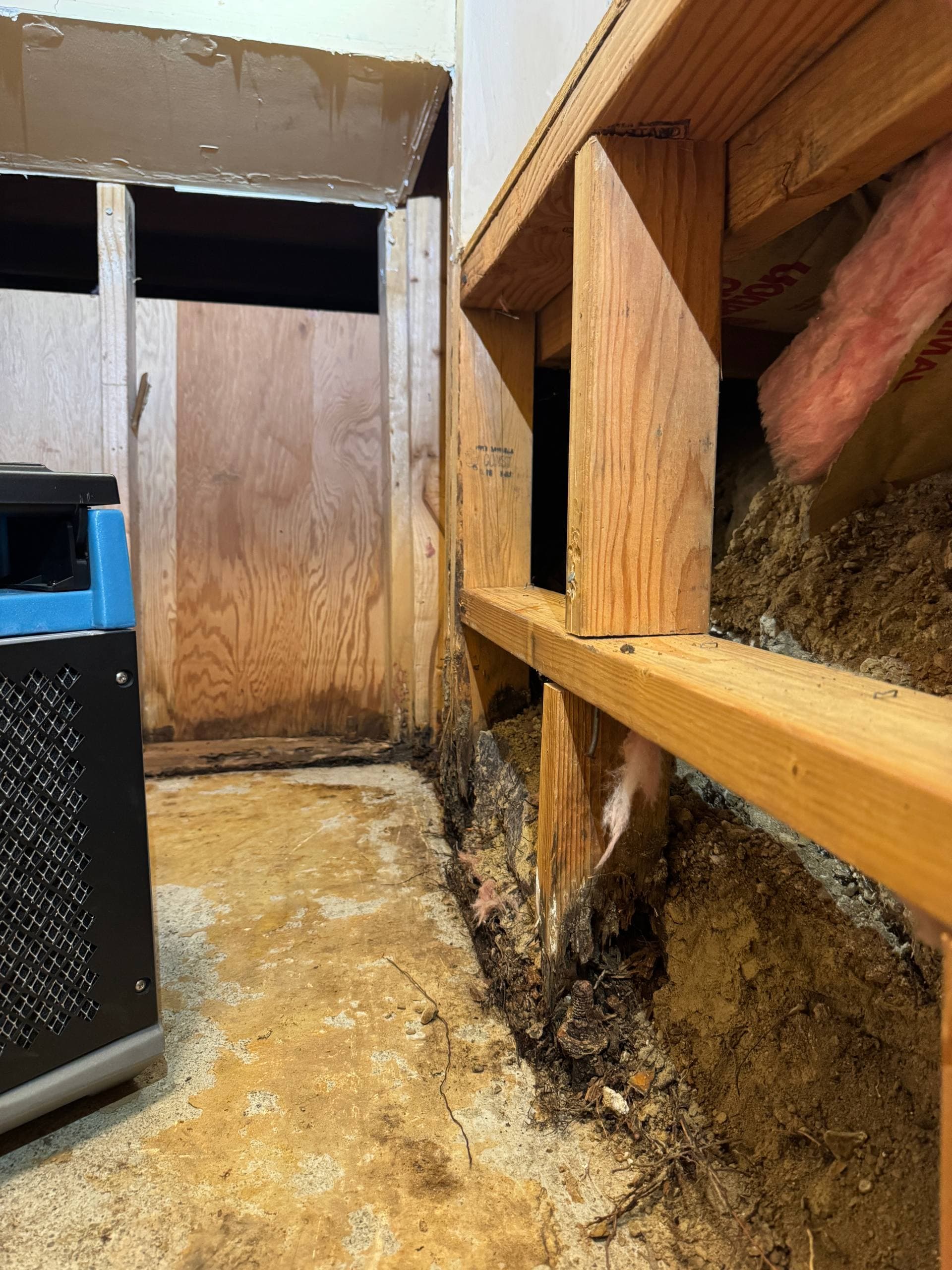 Crawl Space Moisture Control