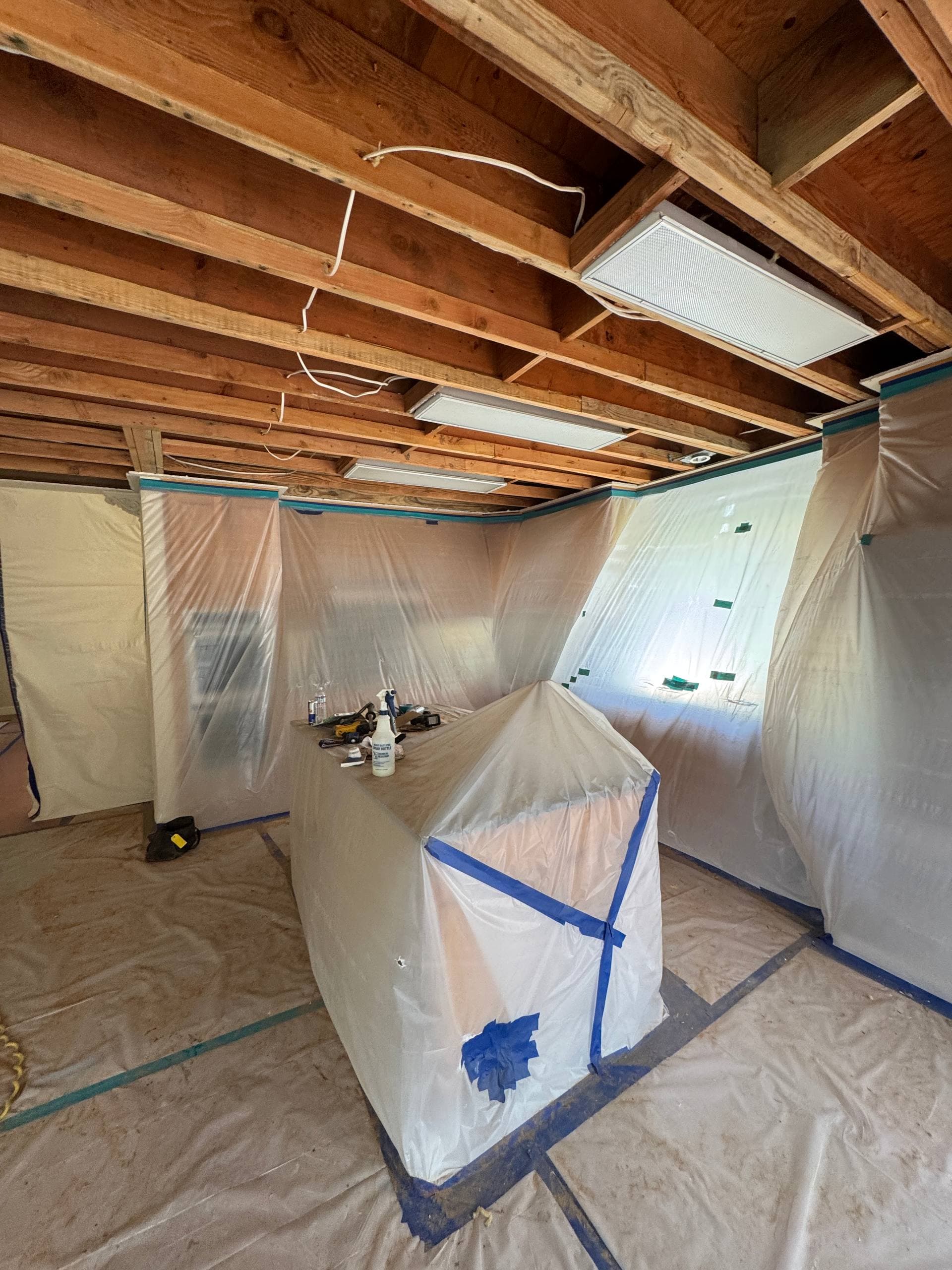 Mold Remediation